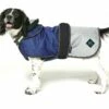 Battersea 2 In 1 Waterproof Dog Coat Blue 2 Battersea 2 In 1 Waterproof Dog Coat Blue -PetJoy Shop aibposze