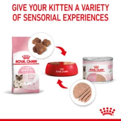ROYAL CANIN® Mother And Babycat Adult And Kitten Wet Food 19 ROYAL CANIN® Mother And Babycat Adult And Kitten Wet Food -PetJoy Shop akcnv1kh34esixlqyi5q