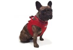 Ancol Viva Step-in Mesh Dog Harness Red -PetJoy Shop ancol 3