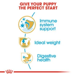 ROYAL CANIN® Miniature Schnauzer Puppy Dry Food 15 ROYAL CANIN® Miniature Schnauzer Puppy Dry Food -PetJoy Shop ascehvjy5g9ckpmw0ape