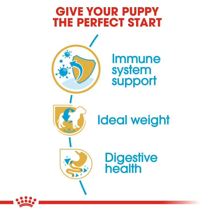 ROYAL CANIN® Miniature Schnauzer Puppy Dry Food 7 ROYAL CANIN® Miniature Schnauzer Puppy Dry Food - Image 5