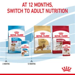 ROYAL CANIN® Medium Puppy In Gravy Wet Food -PetJoy Shop bdp6c7viaih1ll7o7sf5