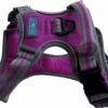Hem & Boo Sports Harness Purple -PetJoy Shop bf2zm55h