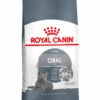 ROYAL CANIN® Oral Care Adult Dry Cat Food 2 ROYAL CANIN® Oral Care Adult Dry Cat Food -PetJoy Shop bg50ryy8tcfqv1euylxx