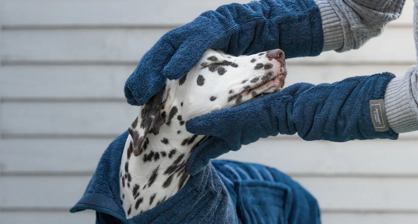Lords & Labradors Bamboo Dog Drying Mits Navy Blue 4 Lords & Labradors Bamboo Dog Drying Mits Navy Blue - Image 2