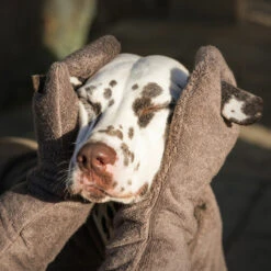 Lords & Labradors Bamboo Dog Drying Mits Mole -PetJoy Shop brown mitt 001