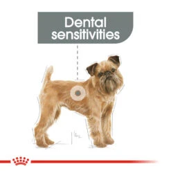 ROYAL CANIN® Mini Dental Care Adult Dry Dog Food 12 ROYAL CANIN® Mini Dental Care Adult Dry Dog Food -PetJoy Shop c4kvyimtnu80dlrncsjw