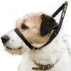 Canny Collar Dog Training Collar Black