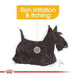 ROYAL CANIN® Mini Dermacomfort Adult Dry Dog Food -PetJoy Shop clou3d2naejl8zkqol4m