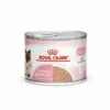 ROYAL CANIN® Mother And Babycat Adult And Kitten Wet Food -PetJoy Shop ctlzjqzhkbbkjwauxd3u
