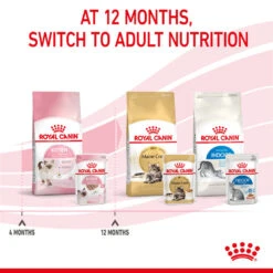 ROYAL CANIN® Kitten In Loaf Wet Food 22 ROYAL CANIN® Kitten In Loaf Wet Food -PetJoy Shop dagmnlnyfa2pbzidlrkz