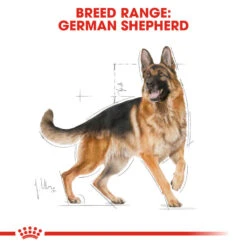 ROYAL CANIN® German Shepherd Adult Dry Dog Food 12 ROYAL CANIN® German Shepherd Adult Dry Dog Food -PetJoy Shop dfl9ofgsiilw4uq3yla8