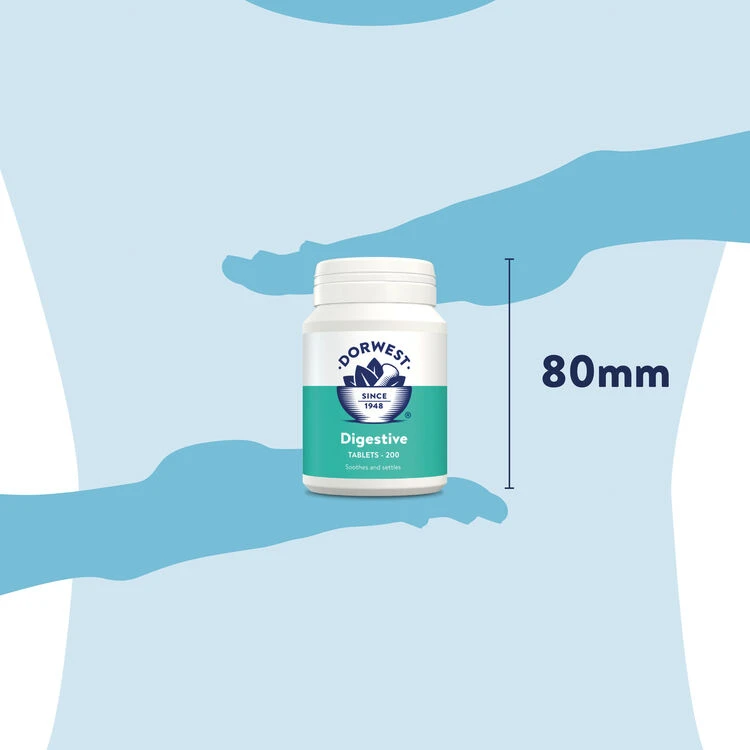 Dorwest Digestive Supplement Tablets 10 Dorwest Digestive Supplement Tablets - Image 8