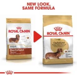 ROYAL CANIN® Dachshund Adult Dry Dog Food -PetJoy Shop dxtgks00a1y3y3clf6ns