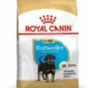 ROYAL CANIN® Rottweiler Puppy Dry Dog Food -PetJoy Shop e3b9kt6uejrwoxbqglbb