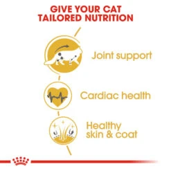 ROYAL CANIN® Maine Coon Adult Dry Cat Food 16 ROYAL CANIN® Maine Coon Adult Dry Cat Food -PetJoy Shop ehij9gmwzviwawotblcp