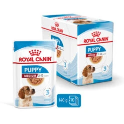 ROYAL CANIN® Medium Puppy In Gravy Wet Food -PetJoy Shop ehs6u9upvlgtsagqvk0b