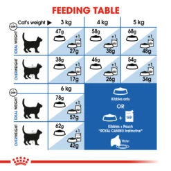 ROYAL CANIN® Indoor Appetite Control Adult Dry Cat Food -PetJoy Shop ejiyjlkx53d1rusmfdis