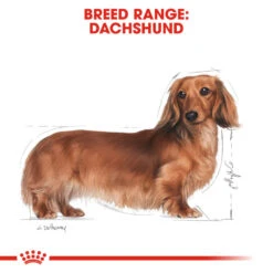 ROYAL CANIN® Dachshund Adult Dry Dog Food -PetJoy Shop etrtqjfchfgo1gmgljum