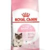 ROYAL CANIN® Mother & Babycat Adult & Kitten Dry Food -PetJoy Shop ezrjap6qu4oj6ond1c2d