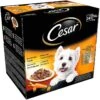 48 X 100g Cesar Deliciously Fresh Dog Food Pouches Favourites In Sauce -PetJoy Shop fm 2019 11 28 08 39 00 42780 images