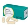 96 X 54g Canikur Tablets -PetJoy Shop fm 2020 02 18 04 00 54 61242 images 1