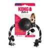 KONG Extreme Dog Ball With Rope Large -PetJoy Shop fm 2020 07 13 03 34 47 10832 images