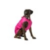 Muddy Paws Stormguard Fleece Lined Coat & Chest Protector Pink Small/medium -PetJoy Shop fm 2021 09 10 07 33 15 64123 images