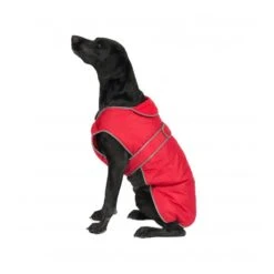 Muddy Paws Stormguard Fleece Lined Coat & Chest Protector Red Small/medium