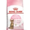 ROYAL CANIN® Kitten Sterilised Dry Food -PetJoy Shop fwdqfvnrkzuzzy0py4bn