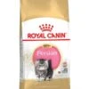 ROYAL CANIN® Persian Kitten Dry Food