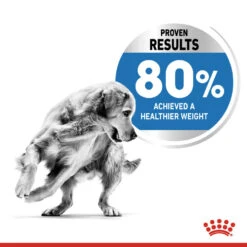 ROYAL CANIN® Medium Light Weight Care Adult Dry Dog Food 16 ROYAL CANIN® Medium Light Weight Care Adult Dry Dog Food -PetJoy Shop gawgwlj9u0qii1ypicfd