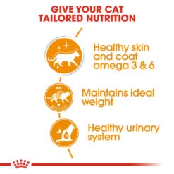 ROYAL CANIN® Intense Beauty Care In Jelly Adult Wet Cat Food -PetJoy Shop gjomgfzop6cal0mxxkok
