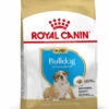 ROYAL CANIN® Bulldog Puppy Dry Food -PetJoy Shop gnpojeu0yepd2jh1ccsc