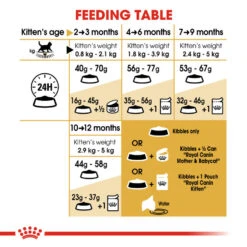 ROYAL CANIN® British Shorthair Kitten Dry Food -PetJoy Shop govcift7d0ulomawixjq