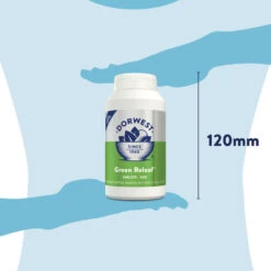 Dorwest Green Releaf Tablets -PetJoy Shop gr500 pt12