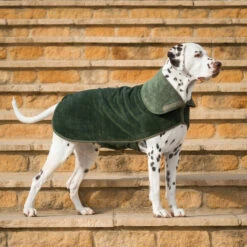 Lords & Labradors Bamboo Dog Drying Coat Fir -PetJoy Shop green coat 002