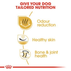 ROYAL CANIN® Bulldog Adult Dry Dog Food 14 ROYAL CANIN® Bulldog Adult Dry Dog Food -PetJoy Shop h053edqhvigqvu0fgi4w