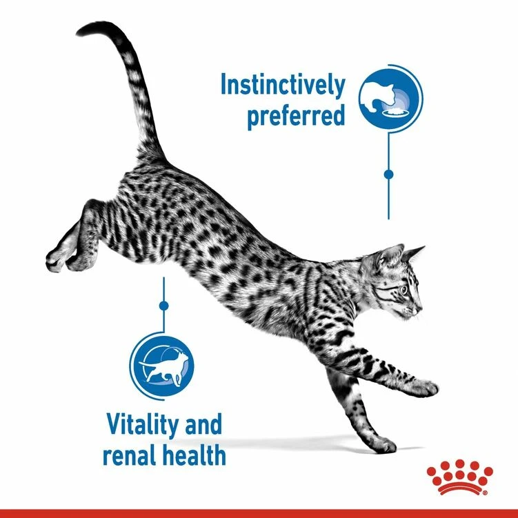 ROYAL CANIN® Indoor Sterilised 7+ In Gravy Adult Wet Cat Food 6 ROYAL CANIN® Indoor Sterilised 7+ In Gravy Adult Wet Cat Food - Image 4
