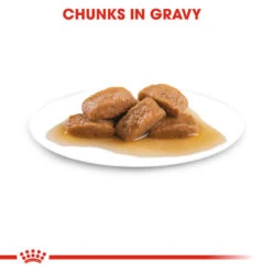 ROYAL CANIN® Maxi Large Breed Ageing 8+ In Gravy Wet Dog Food -PetJoy Shop humhe8o4xkluqg5sotdc
