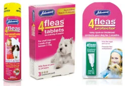 Johnson's 4Fleas Small Dog & Puppy (0.6 - 6kg) Flea Treatment Bundle