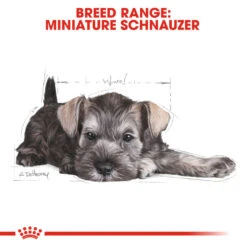 ROYAL CANIN® Miniature Schnauzer Puppy Dry Food 16 ROYAL CANIN® Miniature Schnauzer Puppy Dry Food -PetJoy Shop ivrotnr0f4roox0da5yh