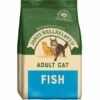 James Wellbeloved Adult Fish Dry Cat Food 1 James Wellbeloved Adult Fish Dry Cat Food -PetJoy Shop jb 17