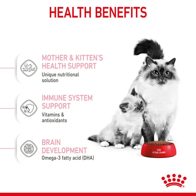 ROYAL CANIN® Mother & Babycat Adult & Kitten Dry Food 7 ROYAL CANIN® Mother & Babycat Adult & Kitten Dry Food - Image 5