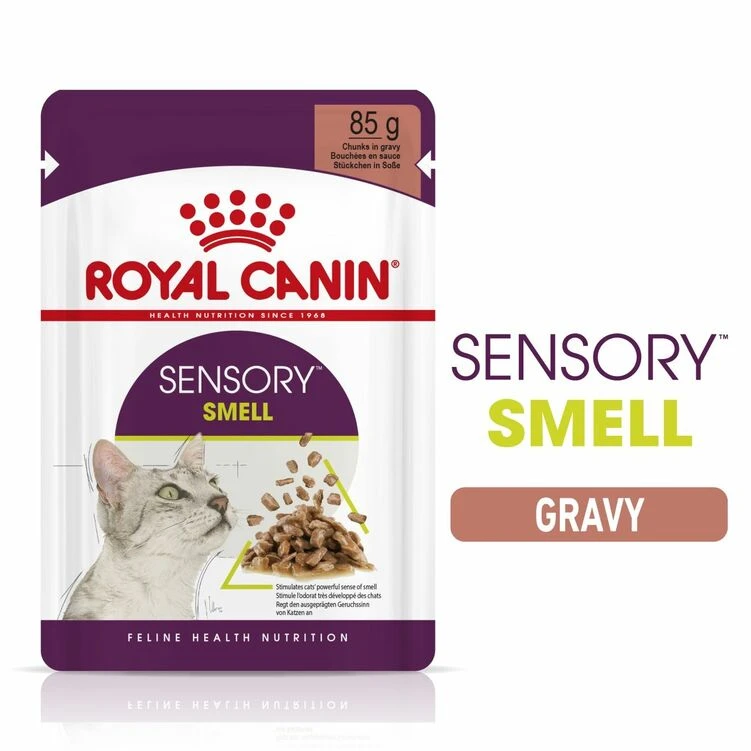 ROYAL CANIN® Sensory Smell In Gravy Adult Wet Cat Food 4 ROYAL CANIN® Sensory Smell In Gravy Adult Wet Cat Food - Image 2