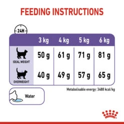 ROYAL CANIN® Appetite Control Care Adult Dry Cat Food 21 ROYAL CANIN® Appetite Control Care Adult Dry Cat Food -PetJoy Shop jzeqif4suqz2m2bjq5vy