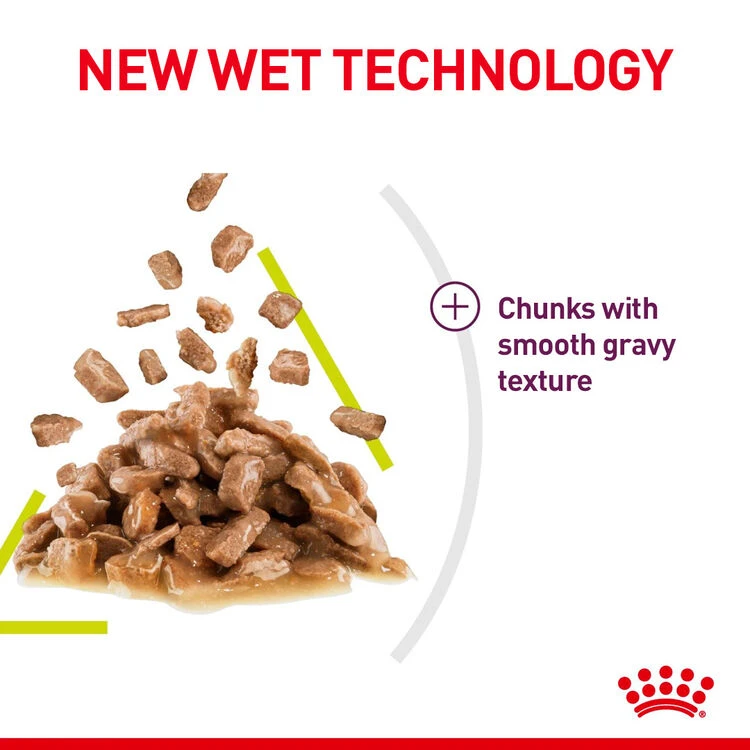 ROYAL CANIN® Sensory Smell In Gravy Adult Wet Cat Food 8 ROYAL CANIN® Sensory Smell In Gravy Adult Wet Cat Food - Image 6