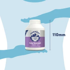 Dorwest Kelp Seaweed Tablets -PetJoy Shop ks500 pt12