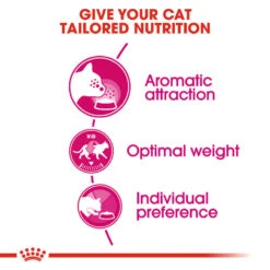 ROYAL CANIN® Aroma Exigent Adult Dry Cat Food 17 ROYAL CANIN® Aroma Exigent Adult Dry Cat Food -PetJoy Shop ksn08ge9xvwxj6izb9np