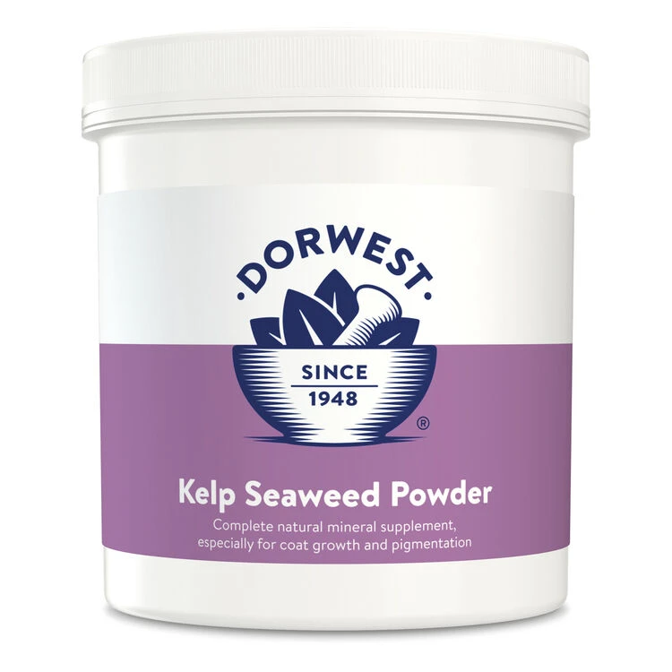 Dorwest Kelp Seaweed Powder 3 Dorwest Kelp Seaweed Powder